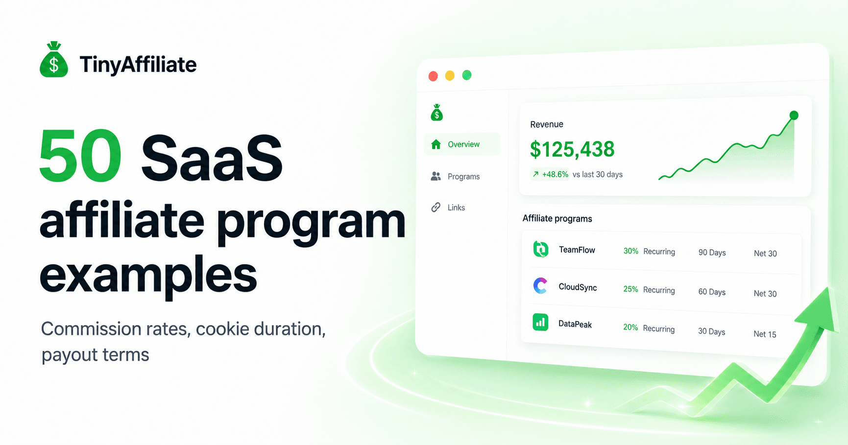 Examples of SaaS affiliate programs